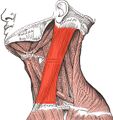 Thumbnail for version as of 00:28, 7 April 2025