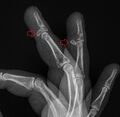 Thumbnail for version as of 18:46, 10 April 2025