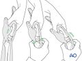 Thumbnail for version as of 17:47, 3 May 2025