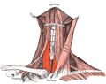 Thumbnail for version as of 21:04, 17 March 2025