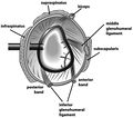 Thumbnail for version as of 01:39, 6 October 2025