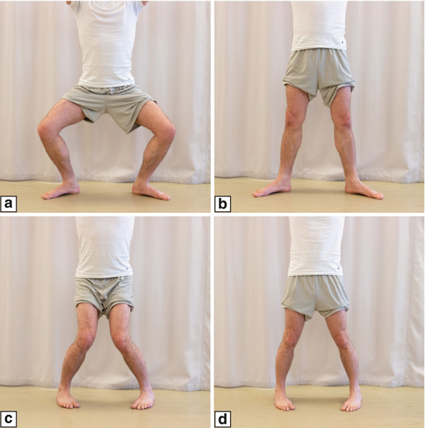 File:Ege's test meniscus.png