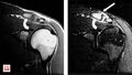 Thumbnail for version as of 06:04, 31 May 2026