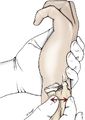 Thumbnail for version as of 13:24, 25 May 2025