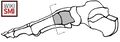 Medial view of the first tarsometatarsal (TMT) joint. Arrows show the slides in the sagittal plane[4]