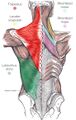Thumbnail for version as of 17:08, 31 March 2025