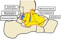 Thumbnail for version as of 19:35, 9 July 2026