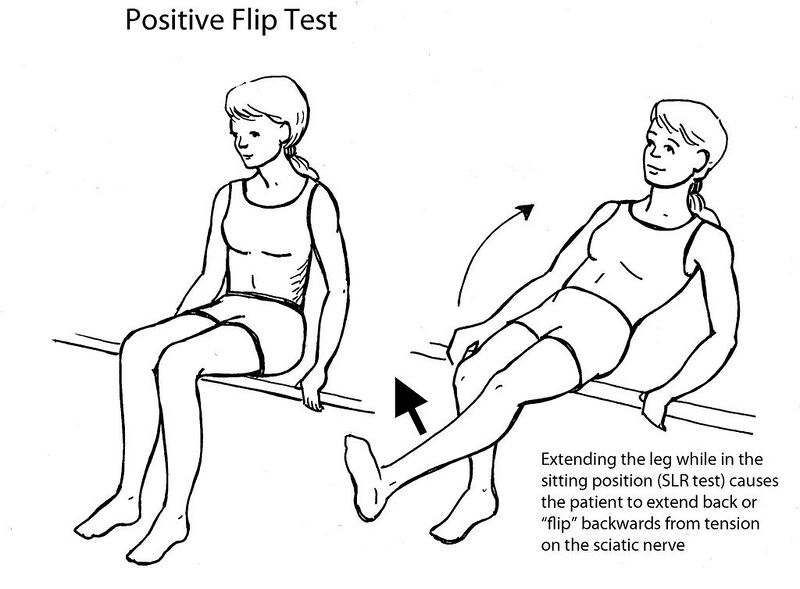 File:Flip test back.jpg