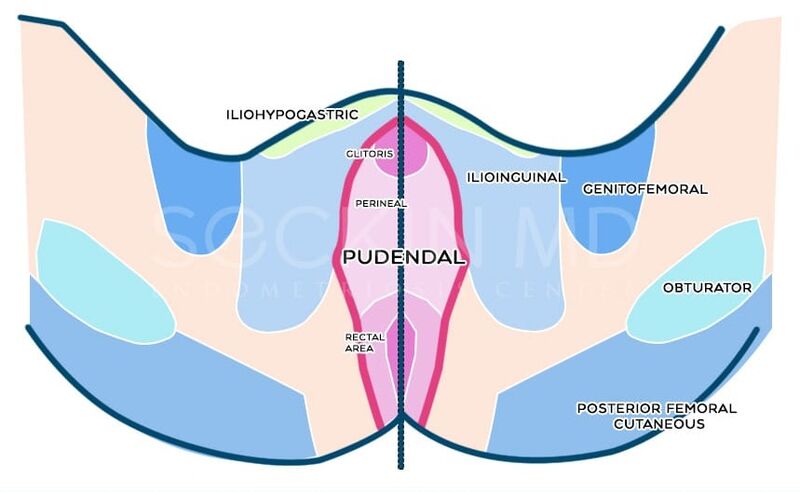 File:Pudendal nerve pain.jpg