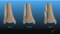 Thumbnail for version as of 14:44, 24 June 2026