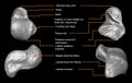 Thumbnail for version as of 16:02, 8 April 2025