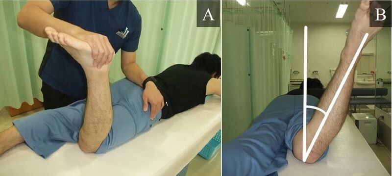 File:Measurement craigs test.jpg