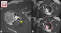 Thumbnail for version as of 22:17, 5 October 2025