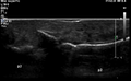 Thumbnail for version as of 18:48, 10 April 2025