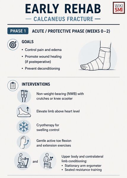 File:Early rehab calcaneus fracture.jpeg