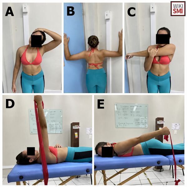 File:Rehab periscapular muscles.jpeg