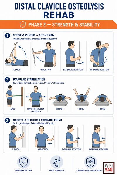 File:Weightlifter Shoulder rehab.jpeg