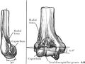 Thumbnail for version as of 13:56, 8 June 2025