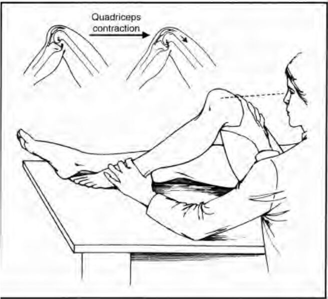 File:Quadriceps active test.jpg