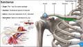 Thumbnail for version as of 00:51, 7 April 2025