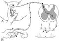 Thumbnail for version as of 06:49, 25 March 2023