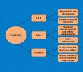 Thumbnail for version as of 14:29, 12 June 2026