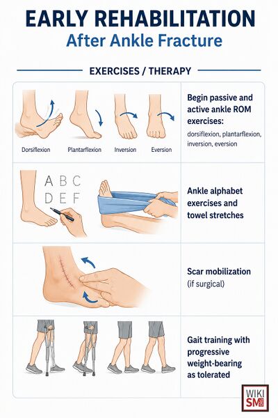 File:Ankle fracture early rehabilitation.jpeg