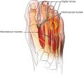Thumbnail for version as of 16:41, 23 April 2025