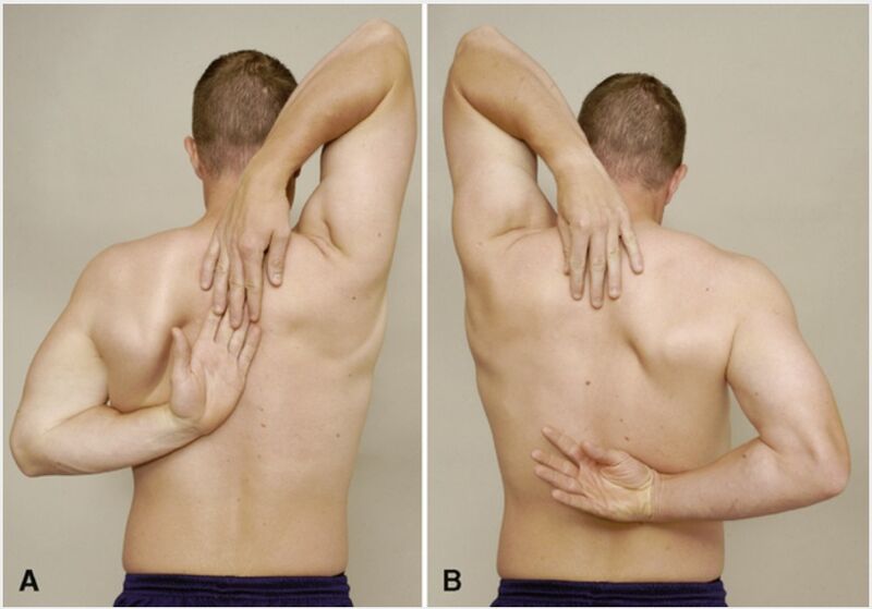 File:Shoulder apley scratch test.jpg
