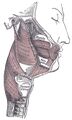 Thumbnail for version as of 20:53, 14 April 2025