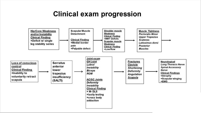 File:Scapular dyskinesis clinical exam.jpg