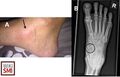 Thumbnail for version as of 19:36, 18 October 2025