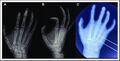 Thumbnail for version as of 18:25, 21 August 2025