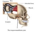 Thumbnail for version as of 00:47, 14 April 2025