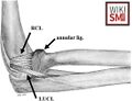 Thumbnail for version as of 17:30, 15 October 2025