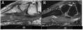 Thumbnail for version as of 08:09, 15 December 2022