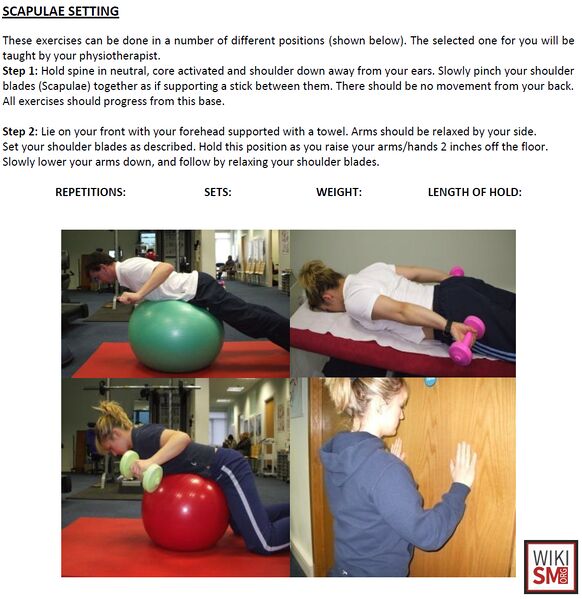 File:Floating shoulder scapular exercises.jpeg
