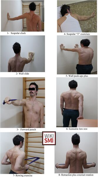 File:Scapular dyskinesis rehab exercises.jpeg