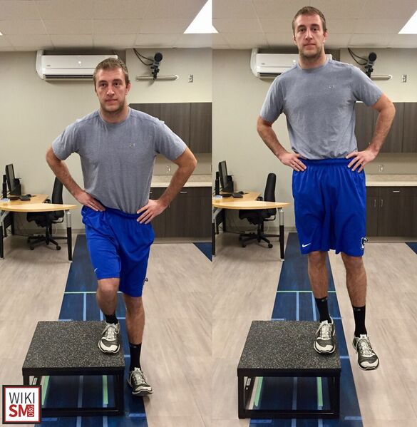 File:Lateral step down test.jpeg