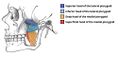 Thumbnail for version as of 16:25, 14 April 2025