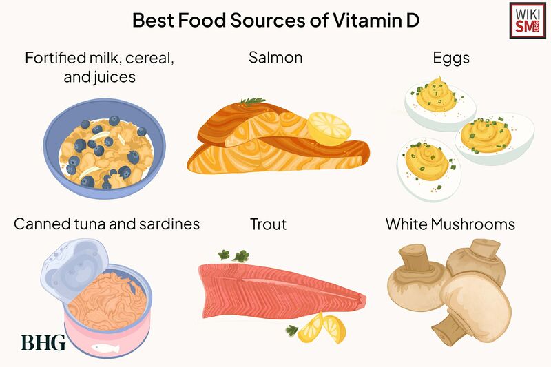 File:Vitamin d food sources.jpeg