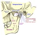 Thumbnail for version as of 00:44, 14 April 2025